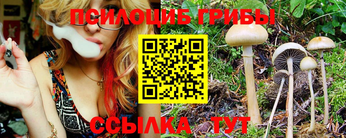 Псилоцибиновые грибы прущие грибы Михайловск