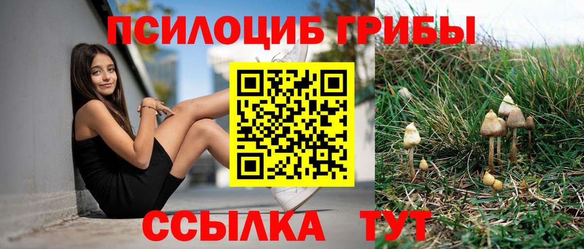 Галлюциногенные грибы прущие грибы  Галлюциногенные грибы ЛСД  цены   Михайловск  Вход с VPN 